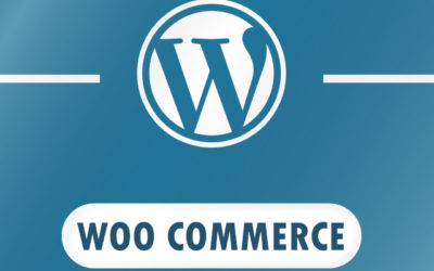 WordPress + Woo commerce