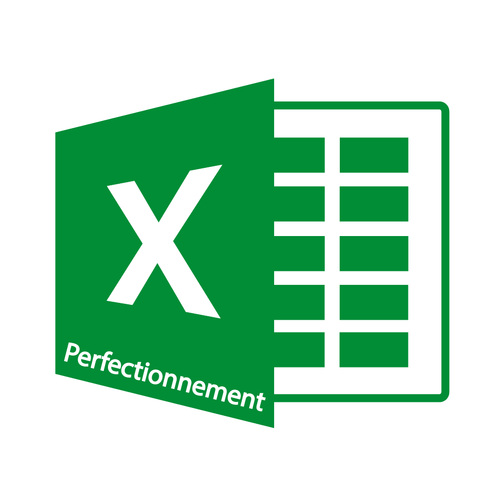 Logo Excel perfectionnement